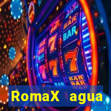 RomaX agua sanitaria fispq agua sanitaria romax